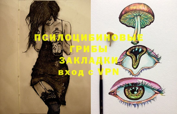 индика Белоозёрский