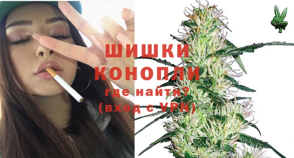 дживик Верхний Тагил