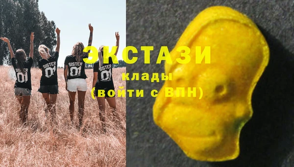 дживик Верхний Тагил