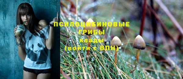 гидра Бугульма