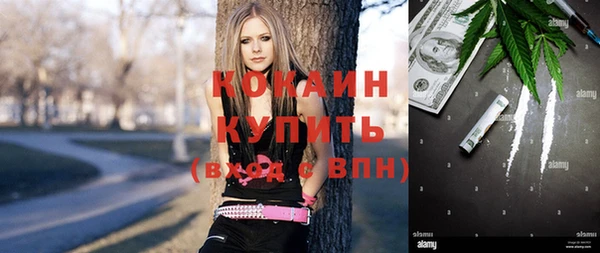 mix Бородино